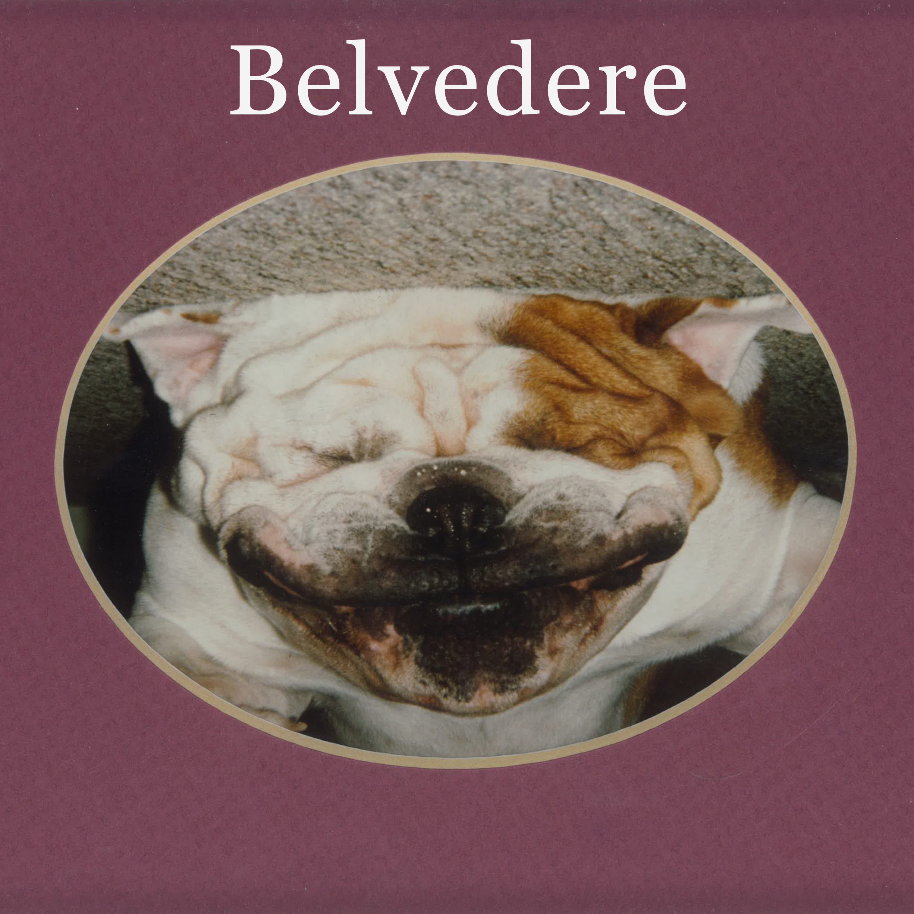 Belvedere artwork